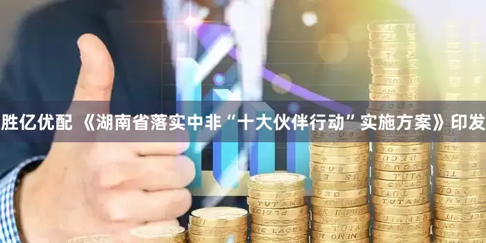 胜亿优配 《湖南省落实中非“十大伙伴行动”实施方案》印发