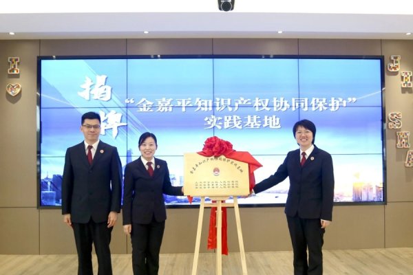 富灯网配资 线索移送、办案协作……金嘉平知识产权协同保护机制启动