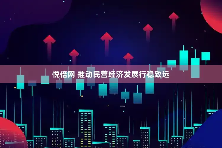 悦倍网 推动民营经济发展行稳致远